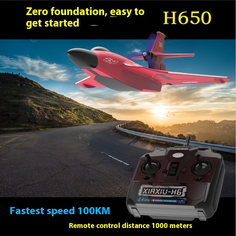 H650 Large RC Plane Fixed Wing - Rc Glider Foam Wing recensie en prijs