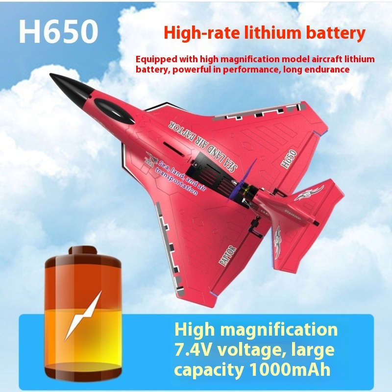 H650 Large RC Plane Fixed Wing - Rc Glider Foam Wing recensie en prijs