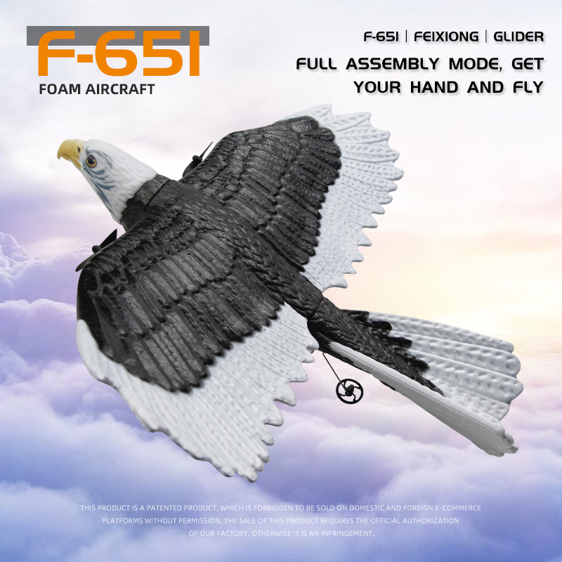 JIKEFUN FX-651 RC Glider 2.4G  - Rc Glider Foam Wing recensie en prijs