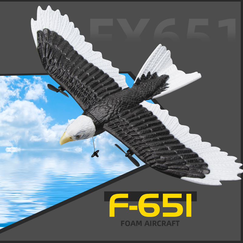 JIKEFUN FX-651 RC Glider 2.4G  - Rc Glider Foam Wing recensie en prijs