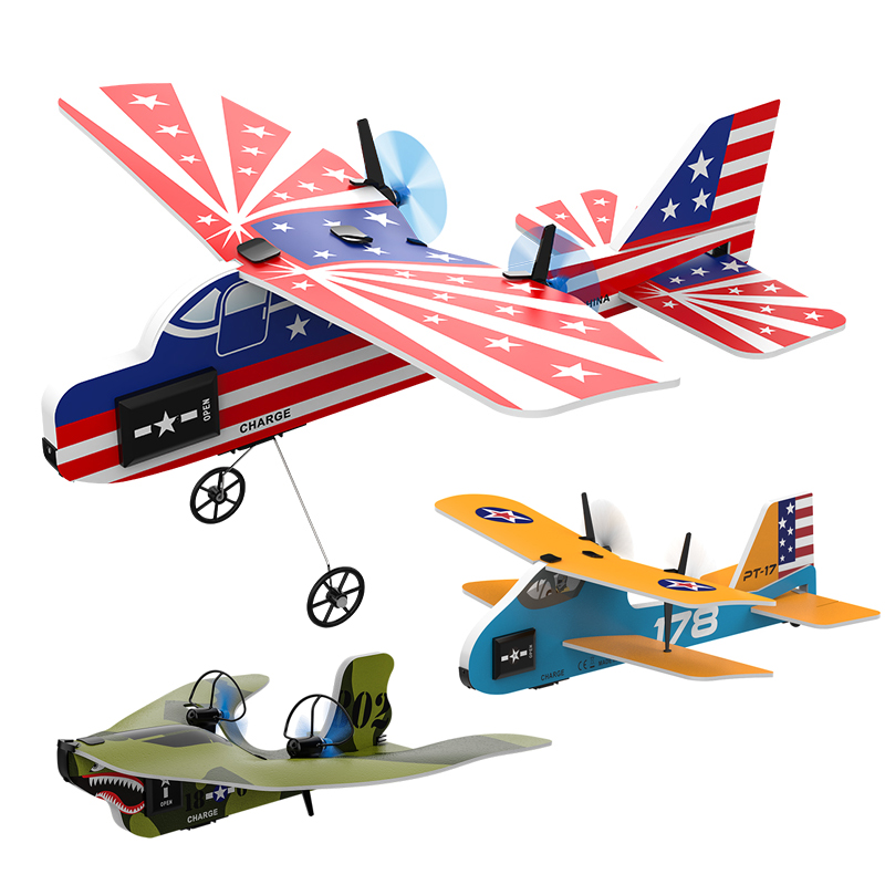 Mini RC Plane 2.4G 2CH Fixed W - Rc Glider Foam Wing recensie en prijs