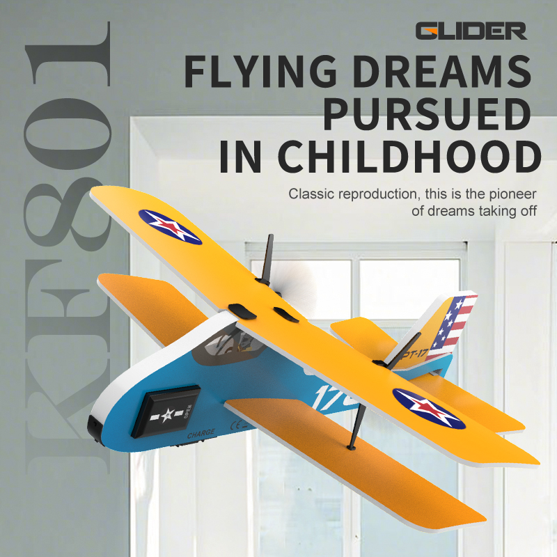 Mini RC Plane 2.4G 2CH Fixed W - Rc Glider Foam Wing recensie en prijs
